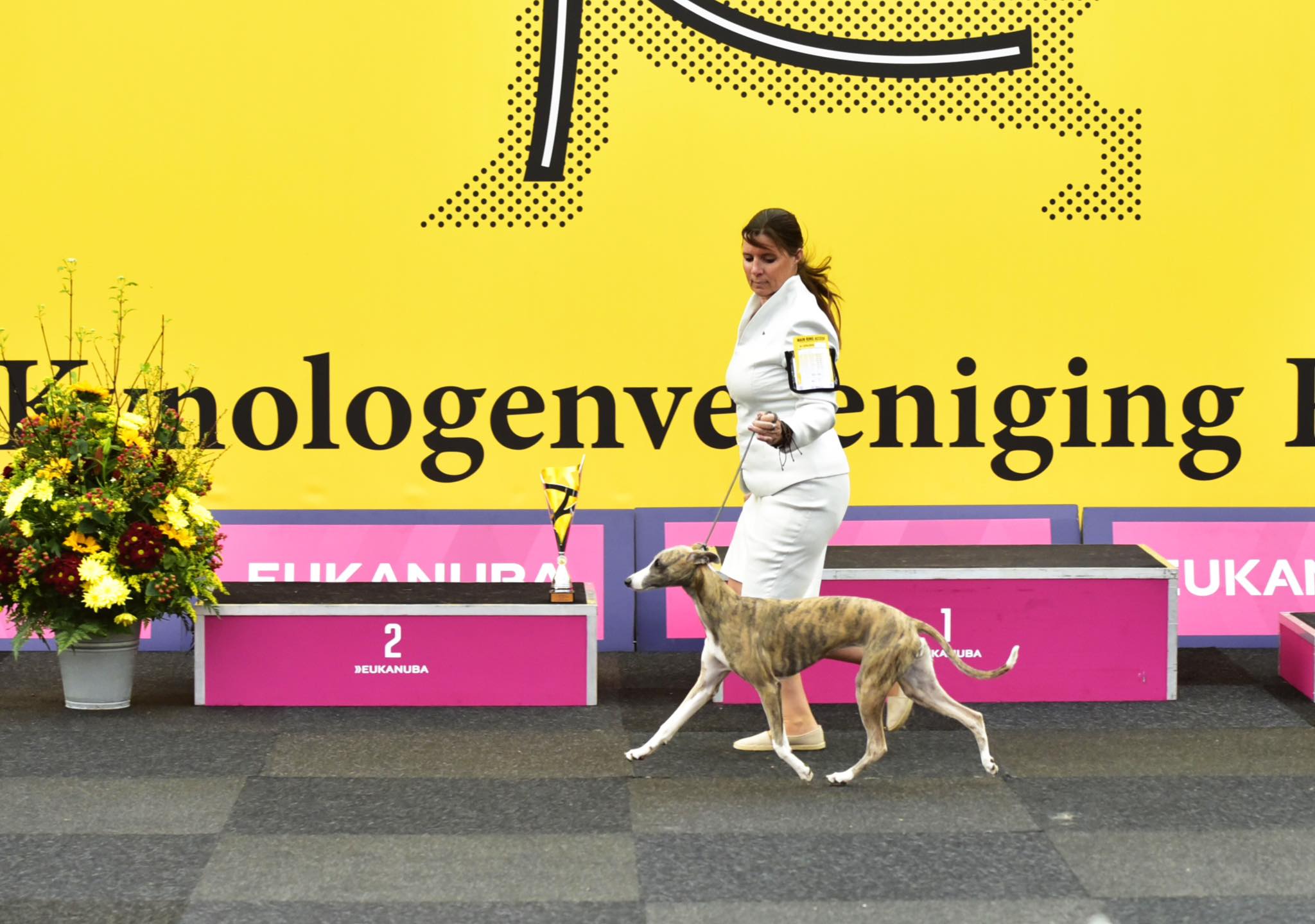 dogshow rijnland